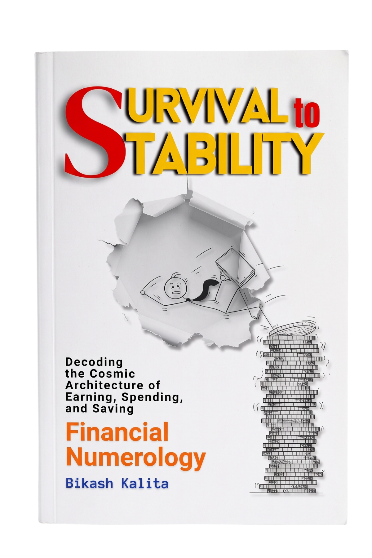 Survival to Stability cover